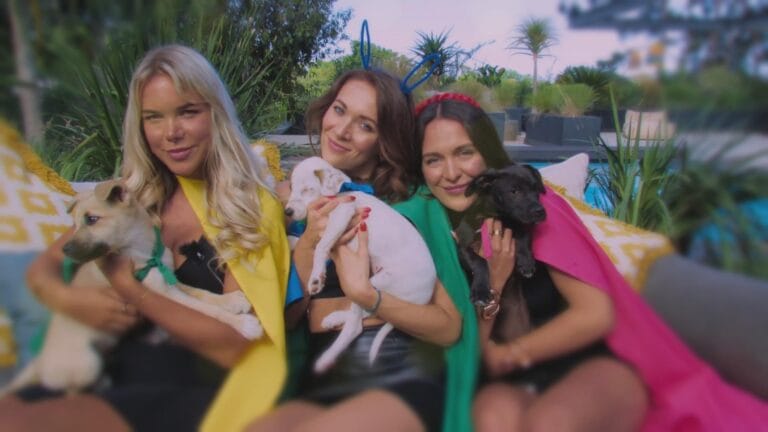 "Die Bachelors" heute Folge 7: Vorschau auf die Episode am 06.08.25!