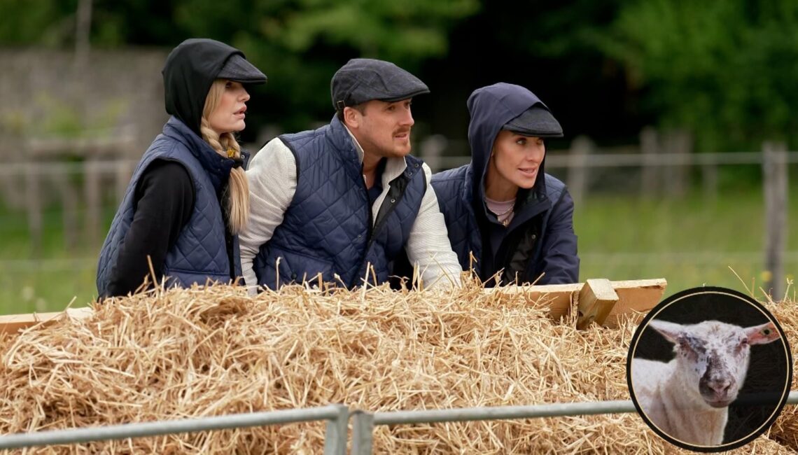 "Die Verräter" 2025 - Folge 5: Erste Fotos zur Episode am 27.05.25