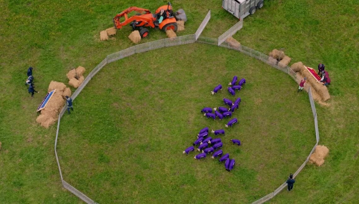 "Die Verräter" 2025 - Folge 5: Erste Fotos zur Episode am 27.05.25