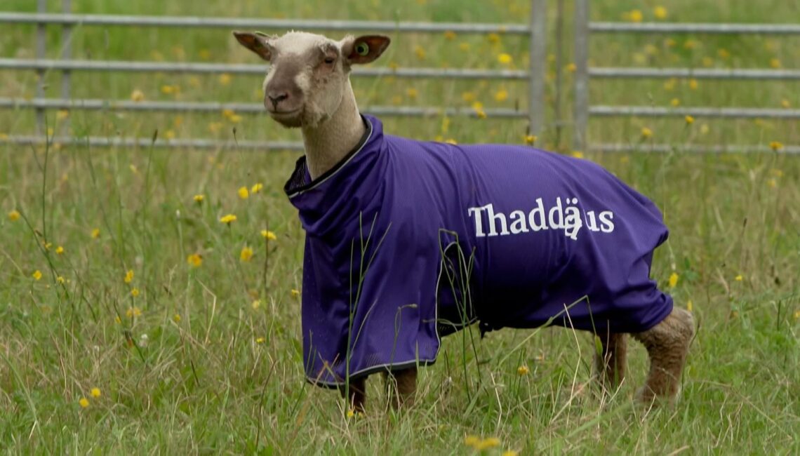 "Die Verräter" 2025 - Folge 5: Erste Fotos zur Episode am 27.05.25