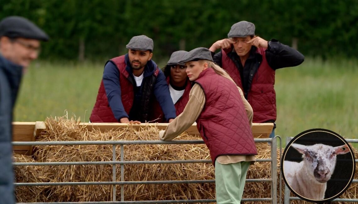 "Die Verräter" 2025 - Folge 5: Erste Fotos zur Episode am 27.05.25